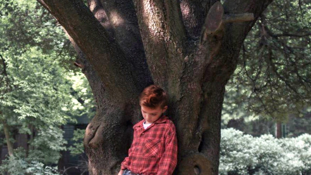 Cover von Buckeye von Patrick Ryan: Ein Junge in rotem Karohemd und blauen Jeans lehnt vor einem großen Baum, Parkkulisse.